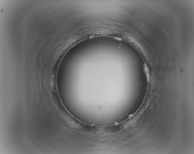 X0000064730305200602171648