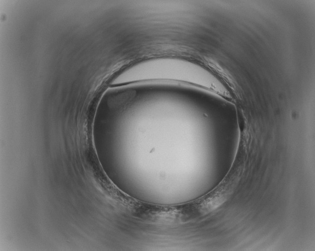 X0000064730306200602171648