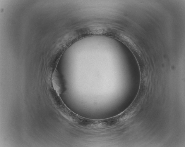 X0000064730307200602171648