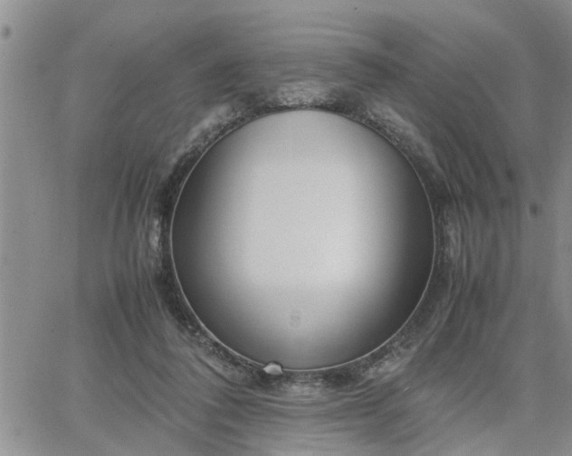 X0000064730308200602171648