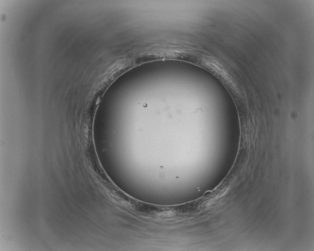 X0000064730309200602171648