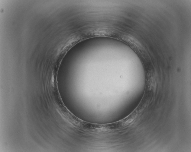 X0000064730310200602171648