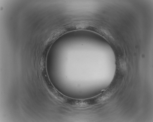 X0000064730311200602171648