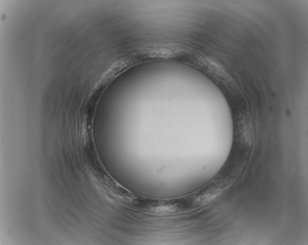 X0000064730312200602171648