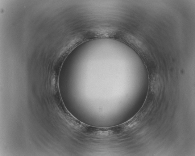 X0000064730314200602171648