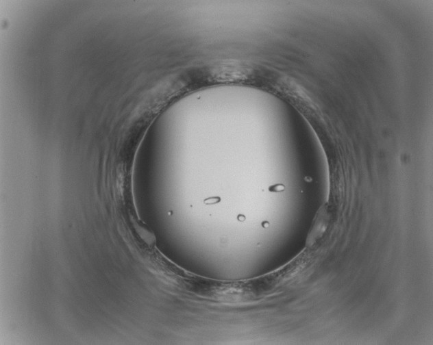 X0000064730315200602171648