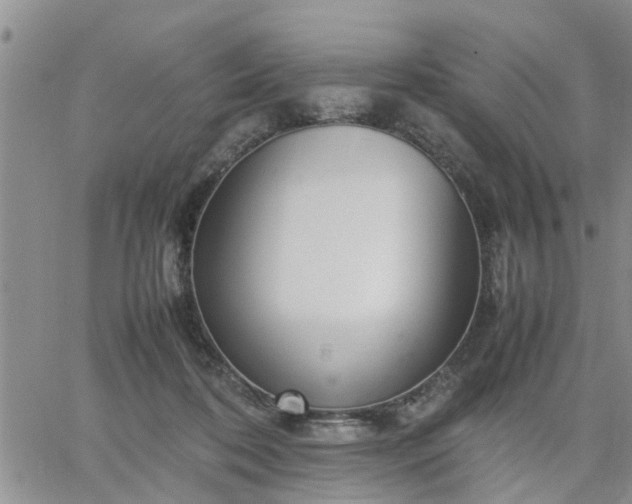 X0000064730316200602171648