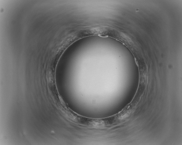 X0000064730317200602171648