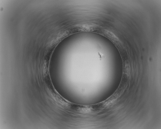 X0000064730318200602171648