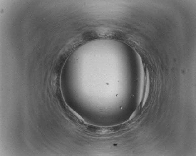 X0000064730319200602171648