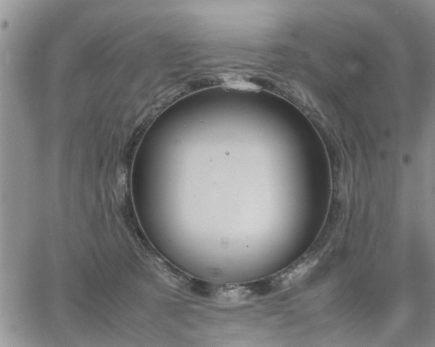 X0000064730321200602171648