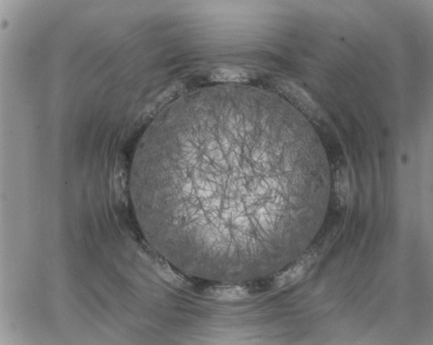 X0000064730322200602171648