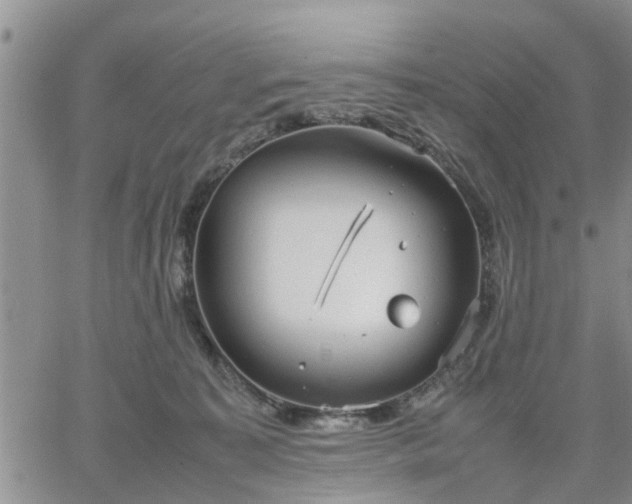 X0000064730323200602171648