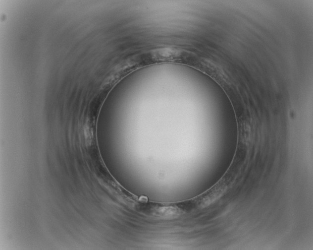 X0000064730324200602171648