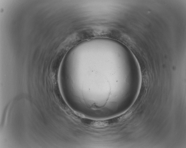 X0000064730327200602171648