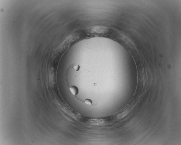 X0000064730328200602171648