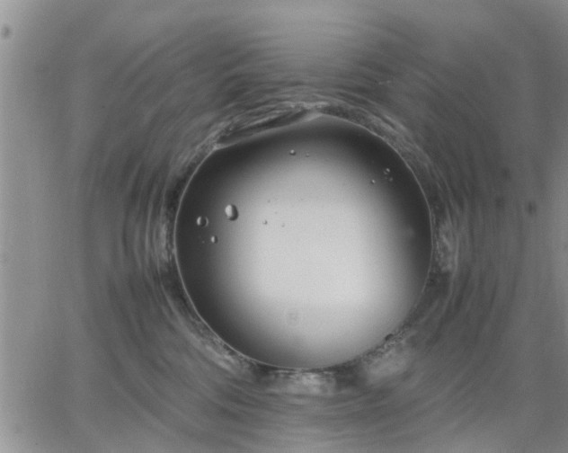 X0000064730330200602171648