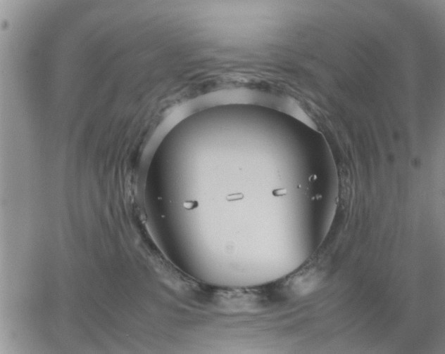 X0000064730331200602171648