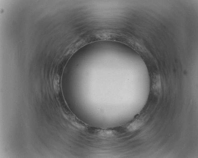 X0000064730332200602171648