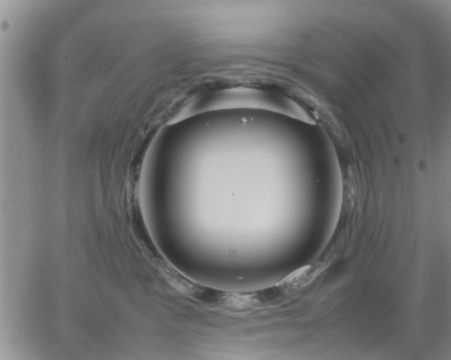 X0000064730333200602171648