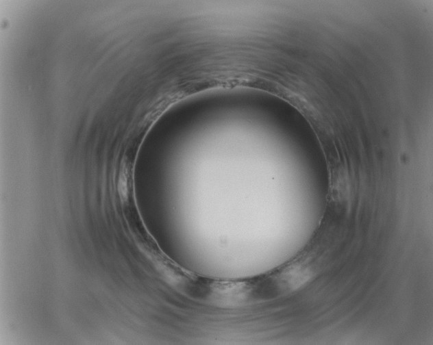 X0000064730334200602171648