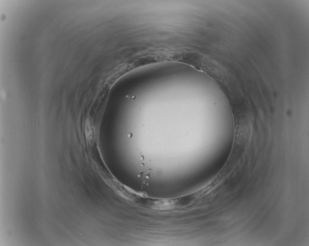 X0000064730335200602171648