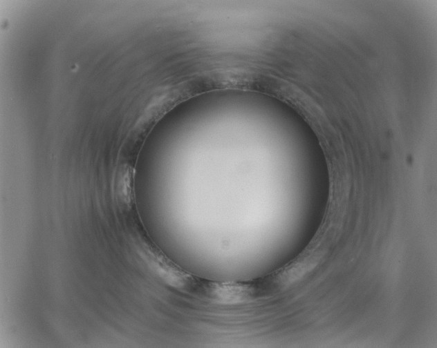 X0000064730336200602171648