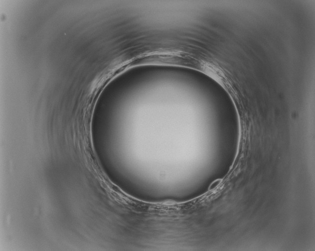 X0000064730337200602171647