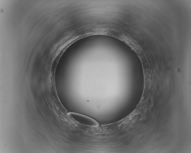 X0000064730338200602171647