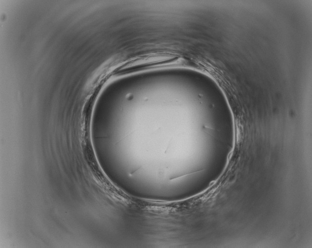 X0000064730339200602171647