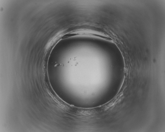 X0000064730341200602171647