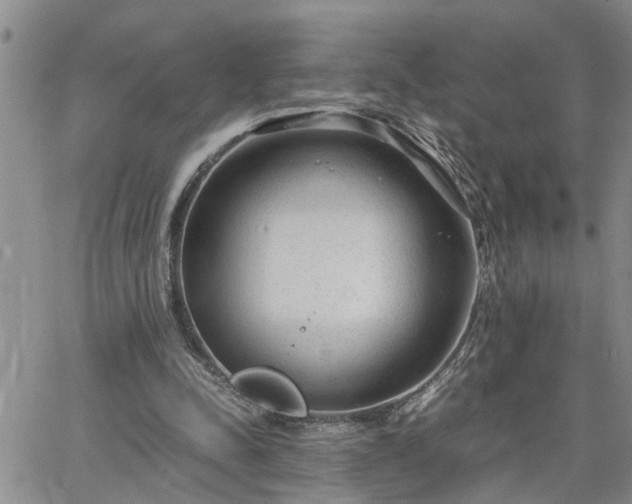 X0000064730342200602171647