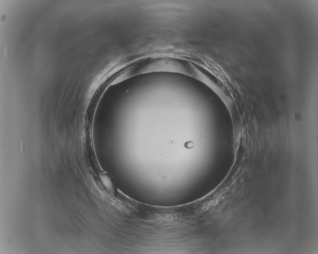 X0000064730344200602171647