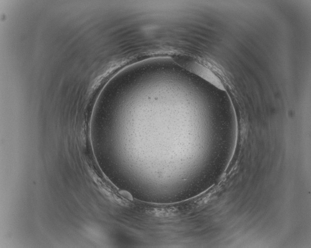 X0000064730345200602171647