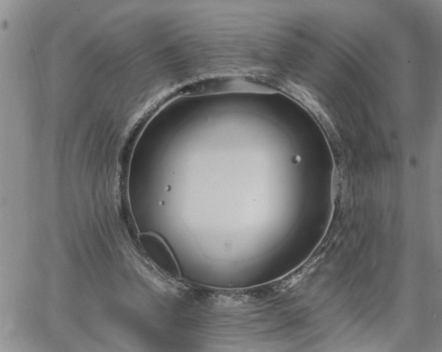 X0000064730346200602171647