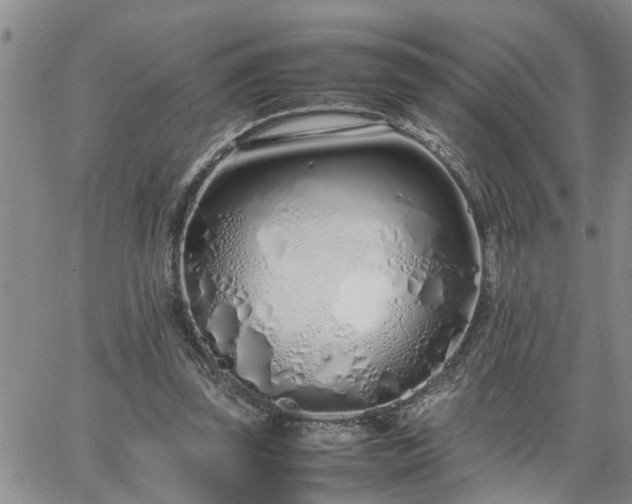 X0000064730347200602171647