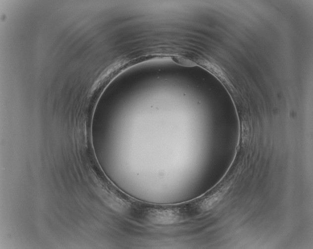 X0000064730349200602171647