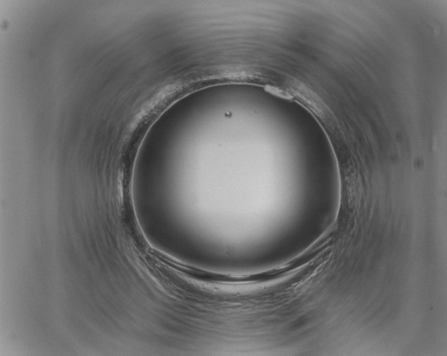 X0000064730350200602171647