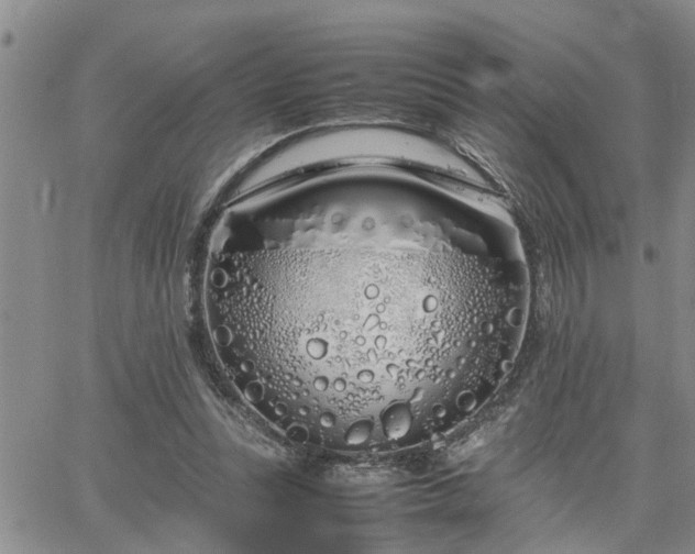 X0000064730351200602171647