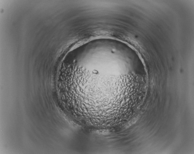 X0000064730353200602171647