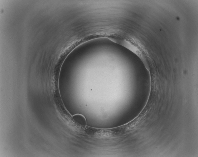 X0000064730354200602171647