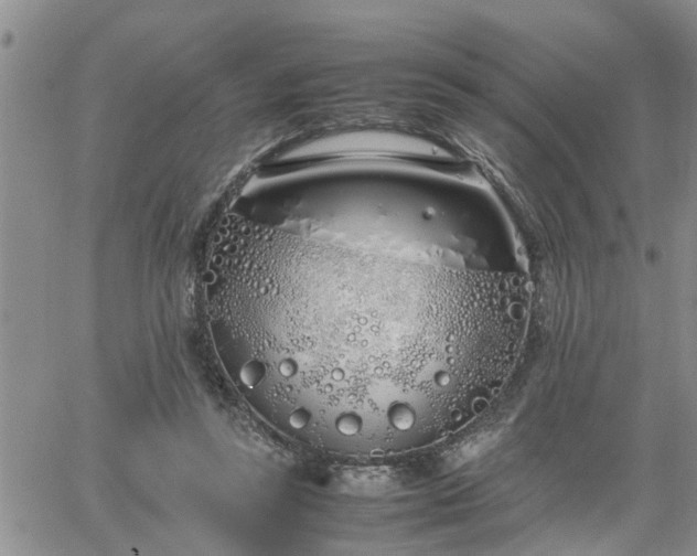 X0000064730355200602171647