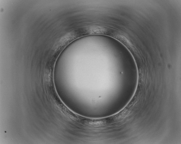 X0000064730357200602171647