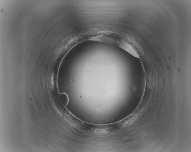 X0000064730358200602171647