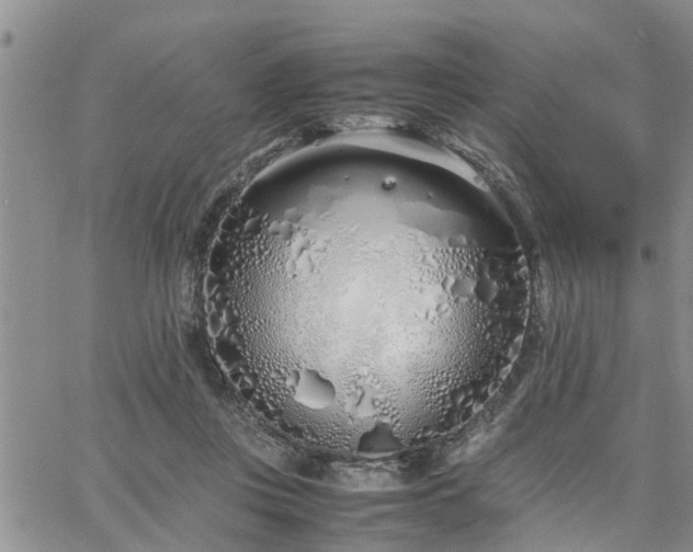 X0000064730359200602171647