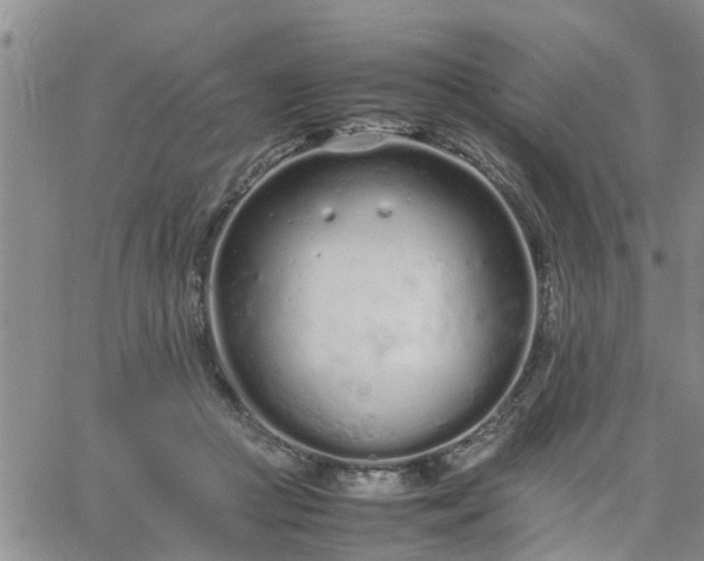 X0000064730361200602171647