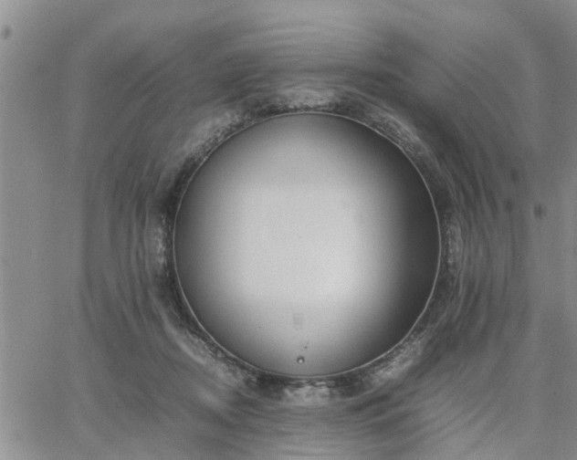 X0000064730362200602171647