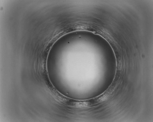 X0000064730363200602171647