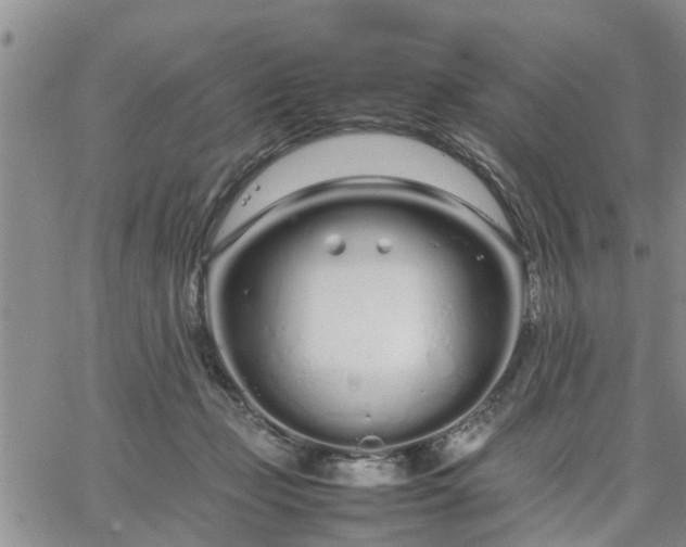 X0000064730365200602171648