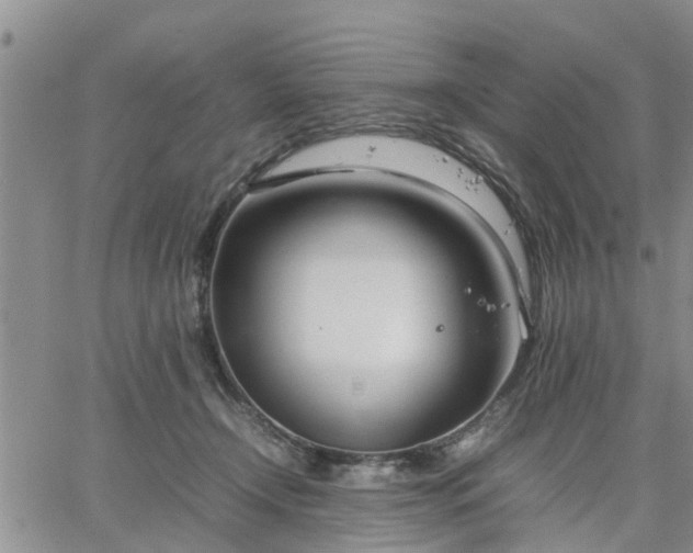 X0000064730366200602171648